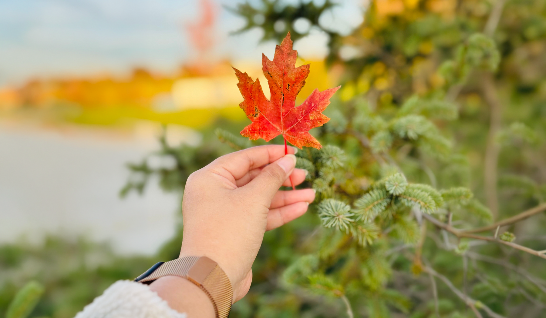 The Fully Healthy Guide to Fall Flavors