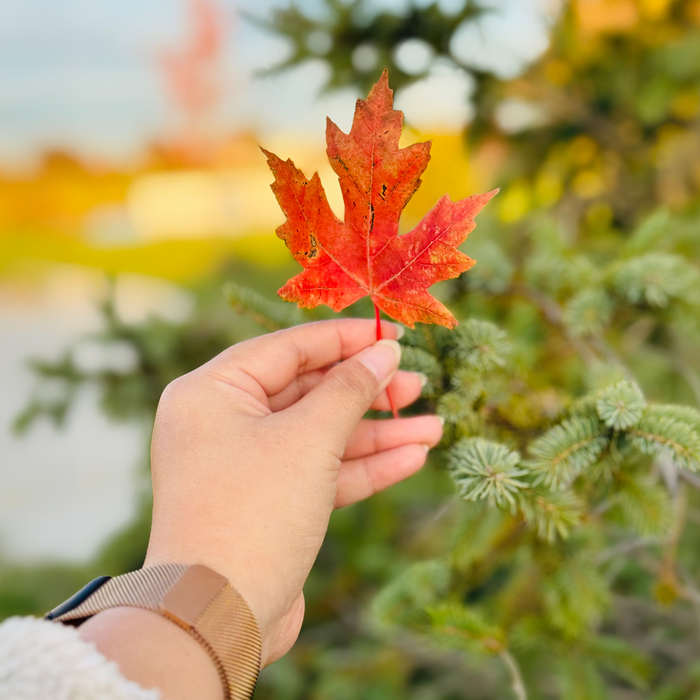The Fully Healthy Guide to Fall Flavors
