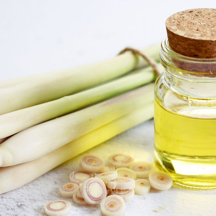 Fresh lemongrass stalks with essential oil in glass bottle