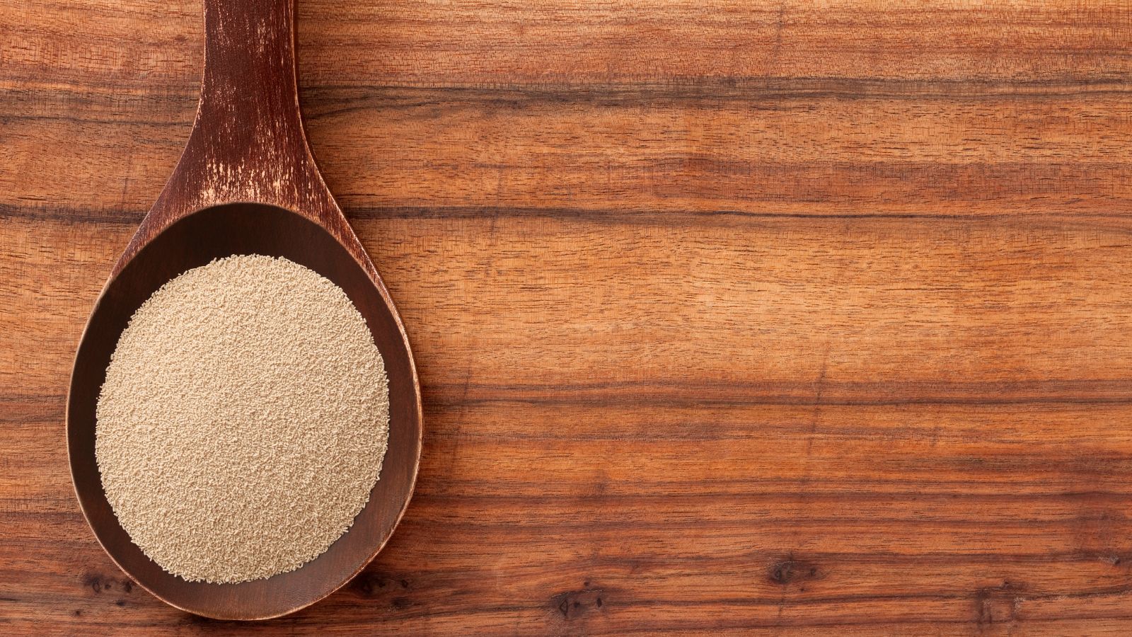 Wooden spoon filled with dry active yeast on wooden table.