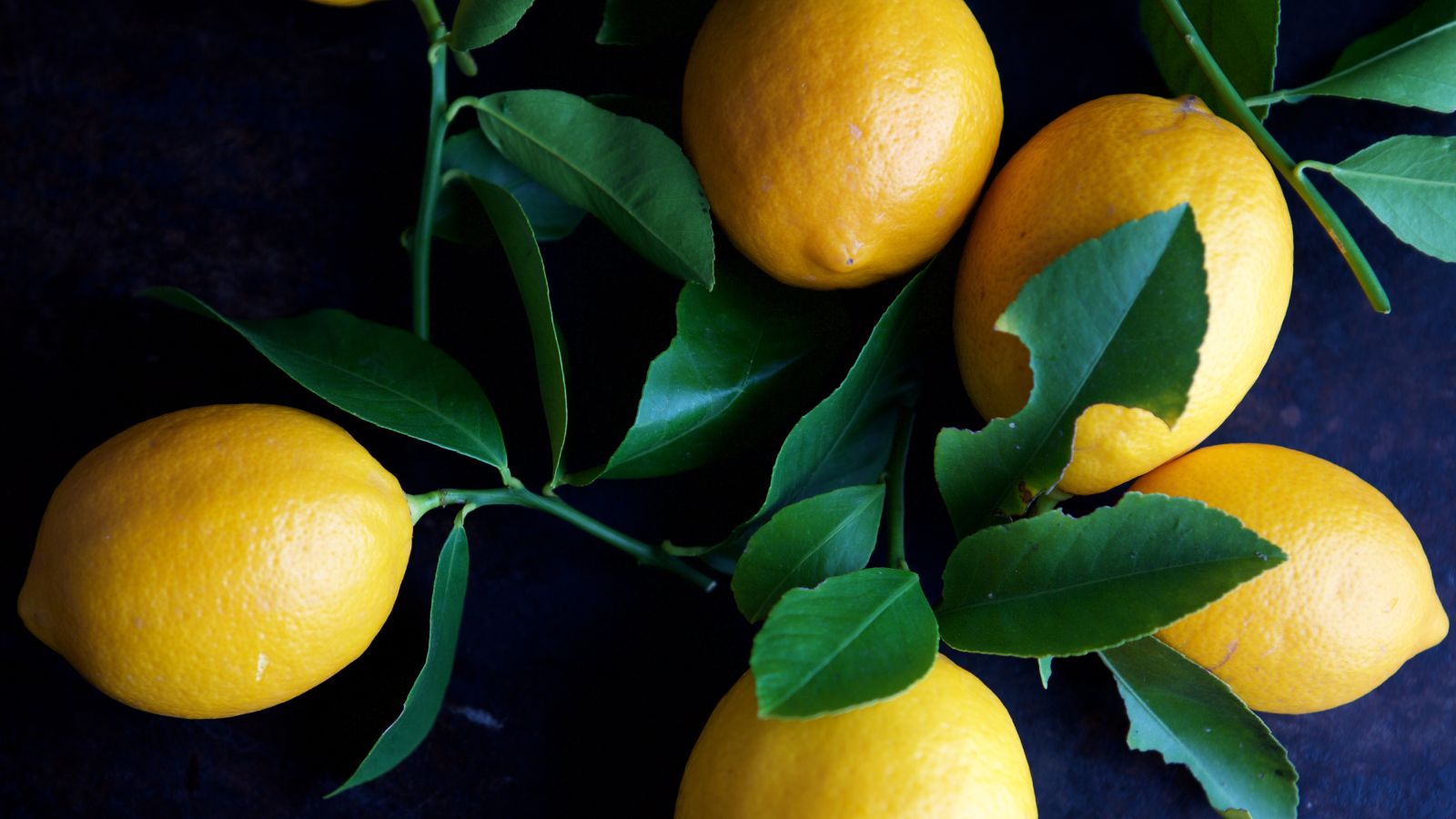 Fresh lemons with green leaves placed on dark textured background
