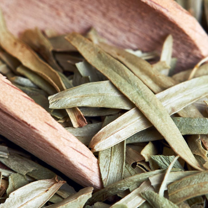 Dried tarragon spice with a wooden scoop on a rustic surface.