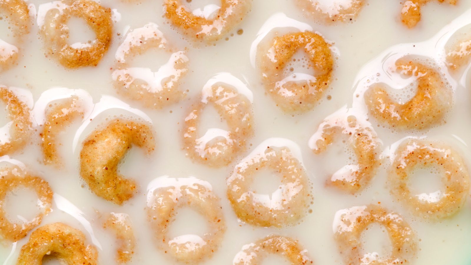 Cinnamon-flavored cereal rings soaked in milk with a glossy texture