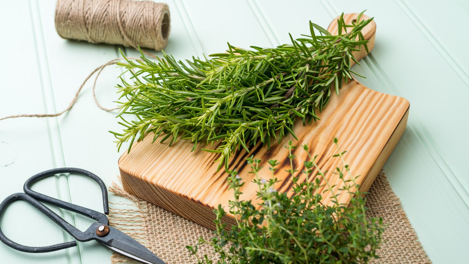 Thyme on wooden cutting board with scissors.