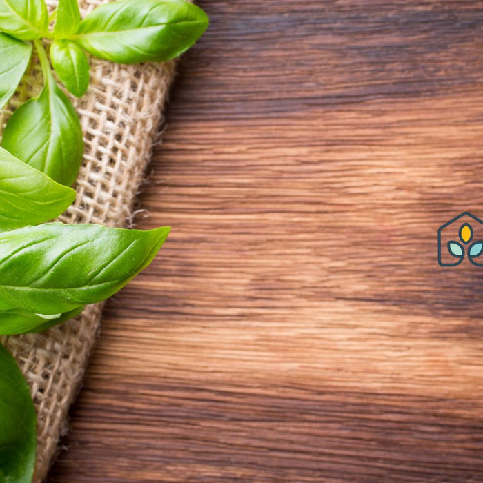 Fresh basil leaves on wooden surface for natural healthy cooking