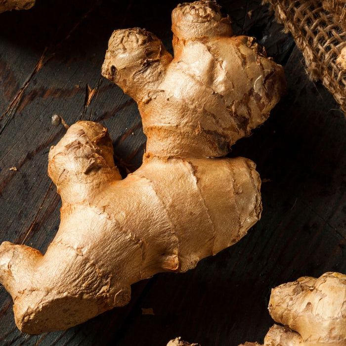 Fresh whole ginger root on rustic wooden table ready for cooking or tea