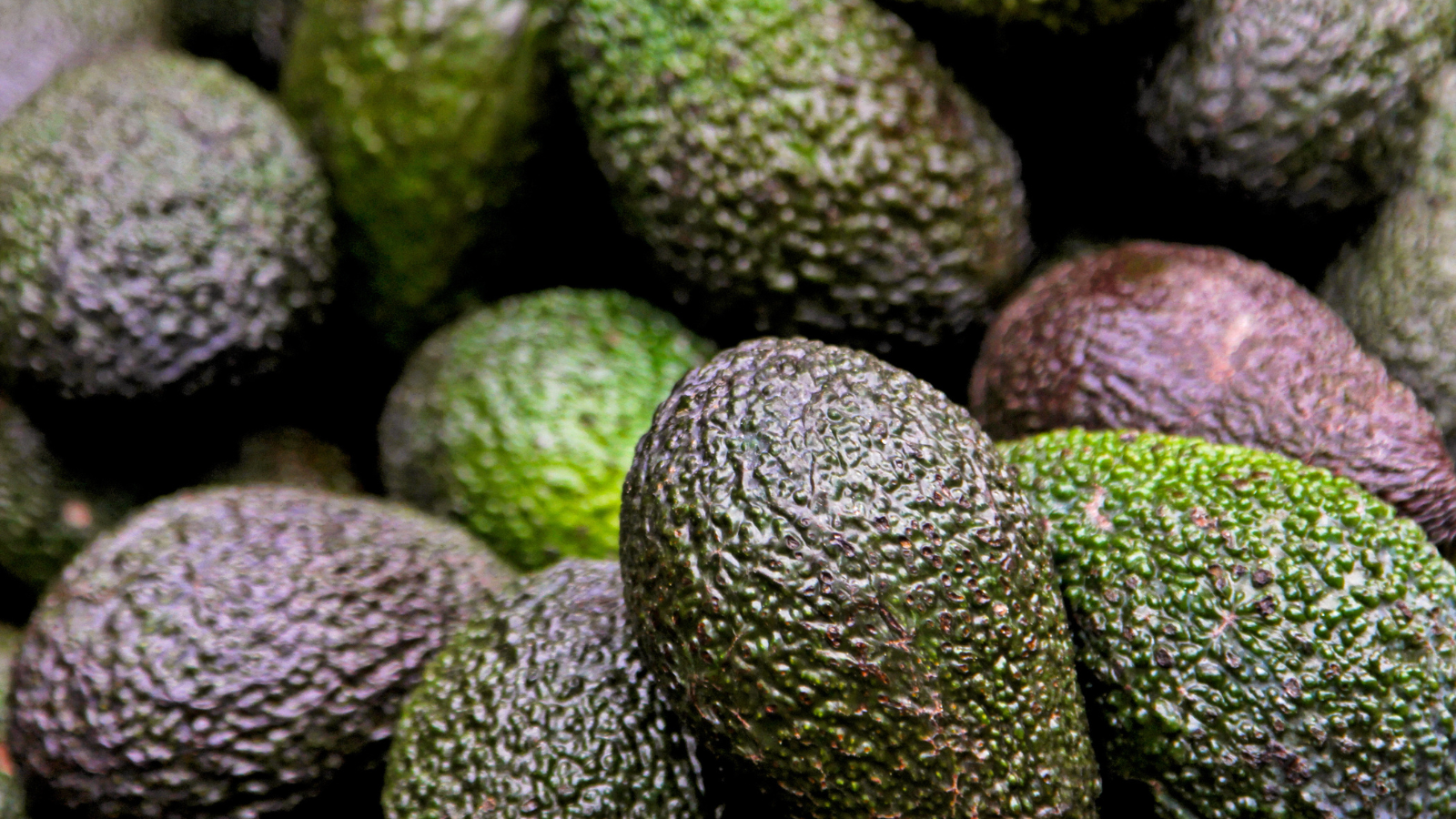 Close-up of fresh Hass avocados with dark bumpy green skin texture.