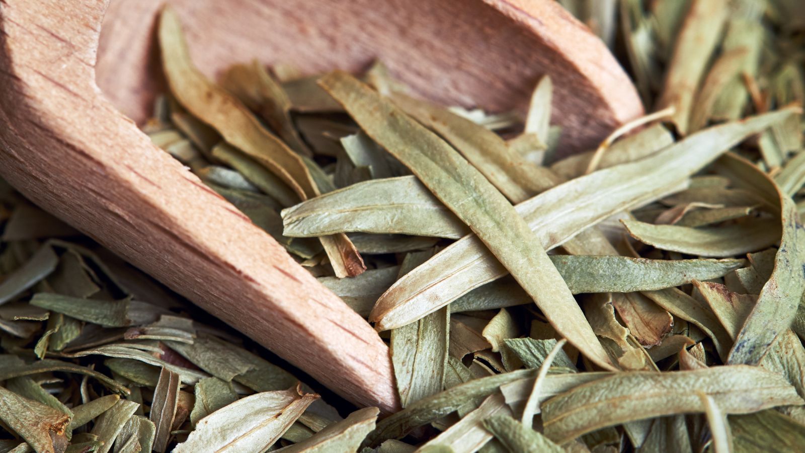 Dried tarragon spice with a wooden scoop on a rustic surface.