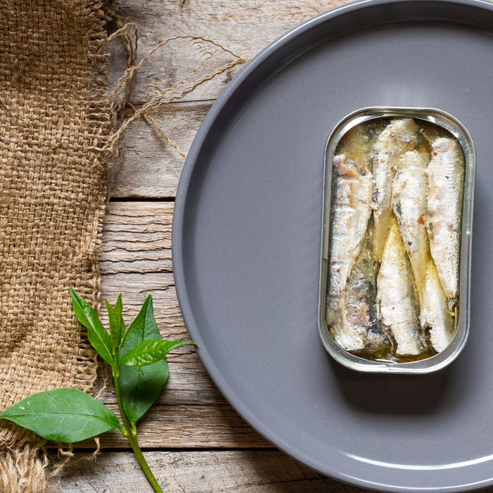 Opened tin of sardines on dark textured background.