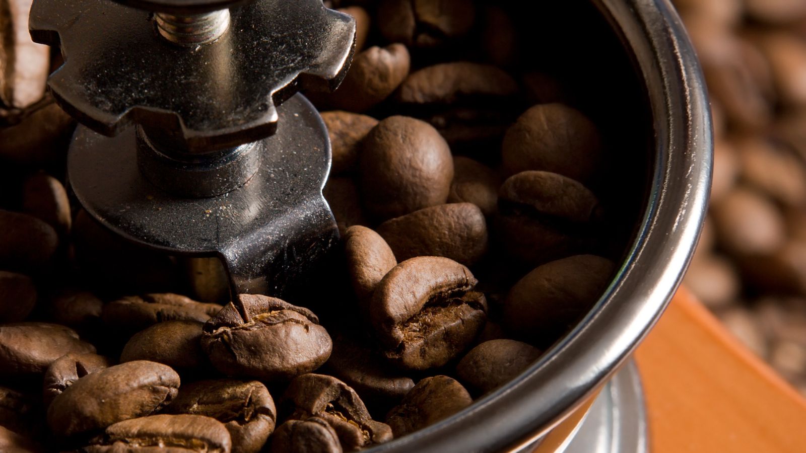 Close-up of coffee grinder burrs surrounded by roasted coffee beans.