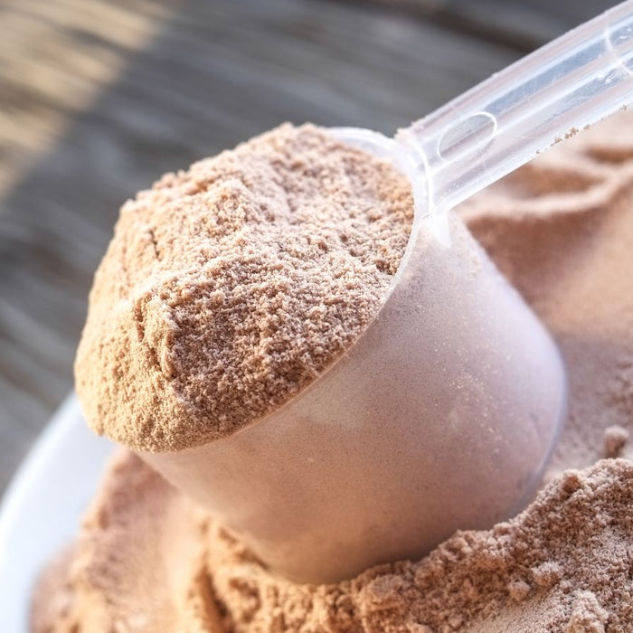 Scoop of chocolate protein powder in a white bowl.