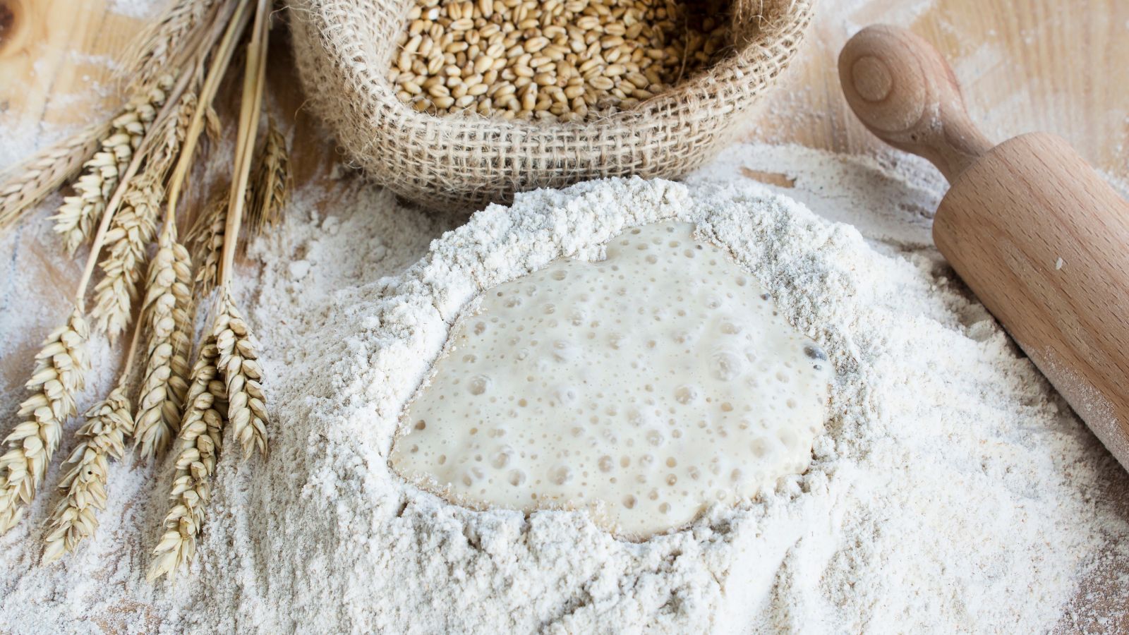 Flour with sourdough starter beside wheat stalks and rolling pin.
