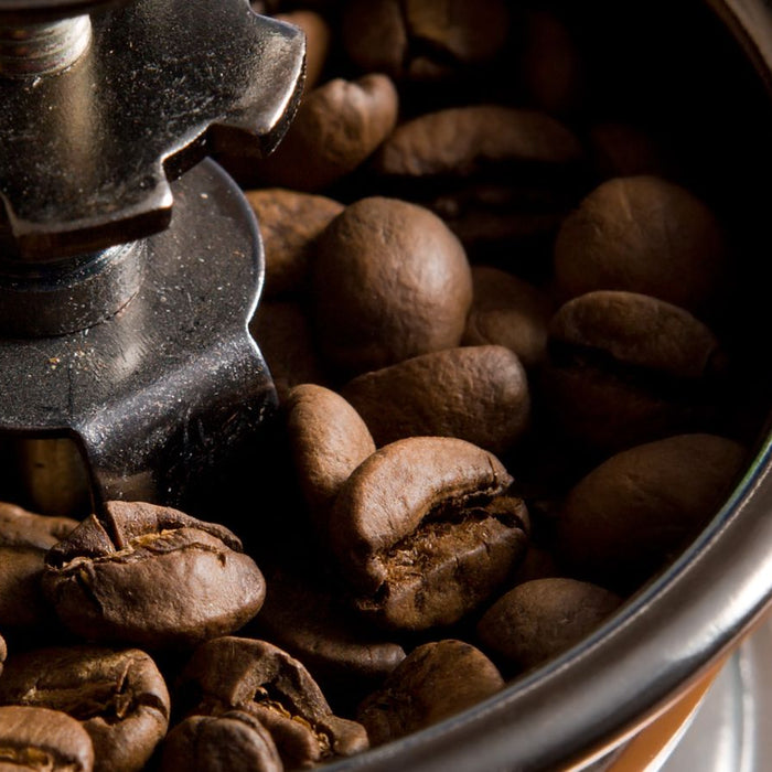 Close-up of coffee grinder burrs surrounded by roasted coffee beans.