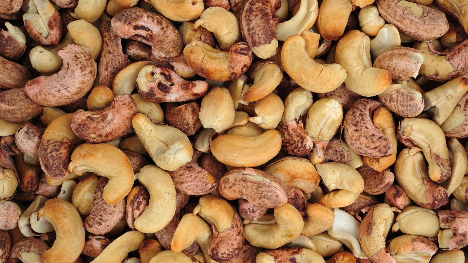 Cashew nuts with shell partially removed in a pile.