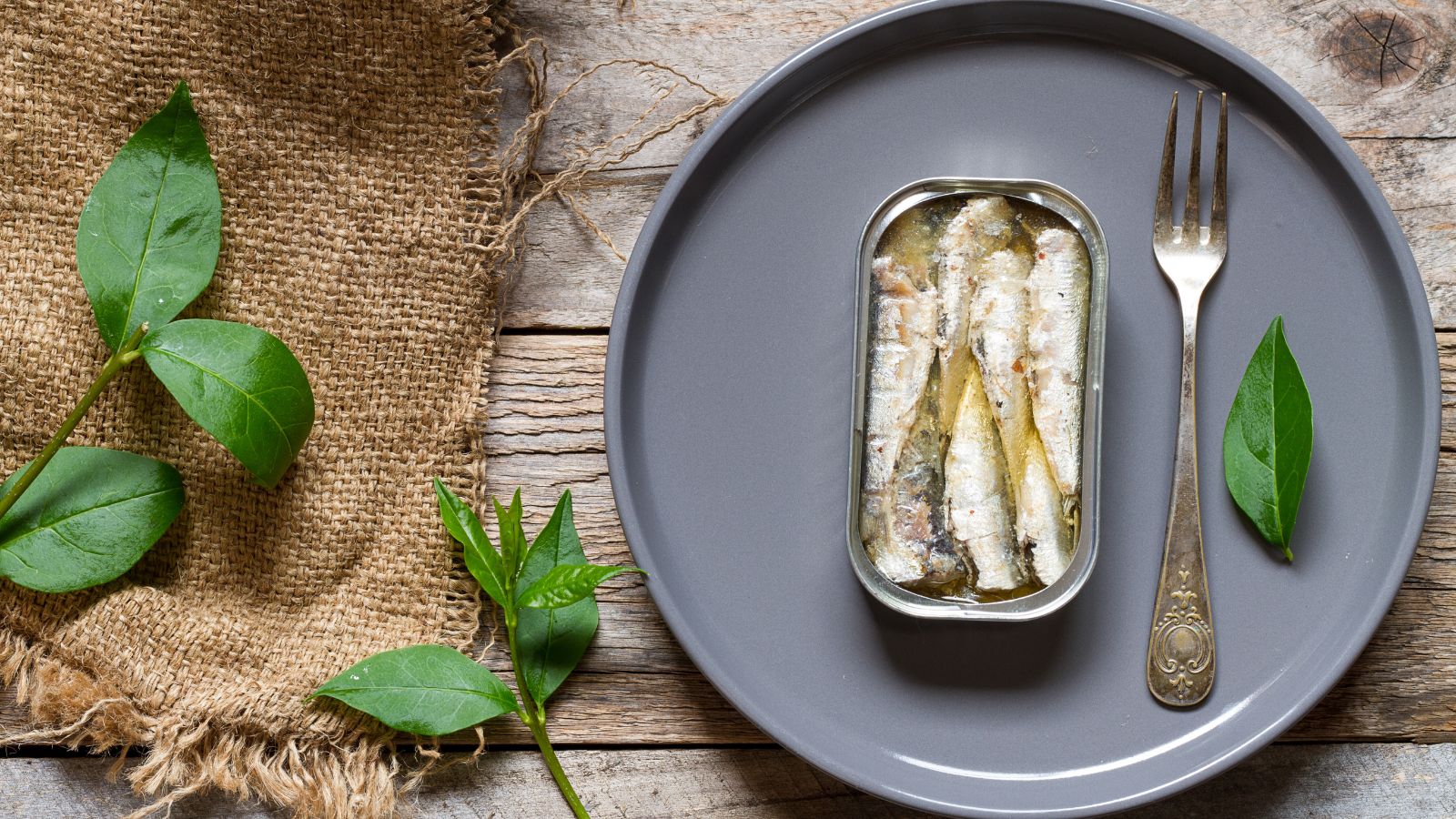 Opened tin of sardines on dark textured background.