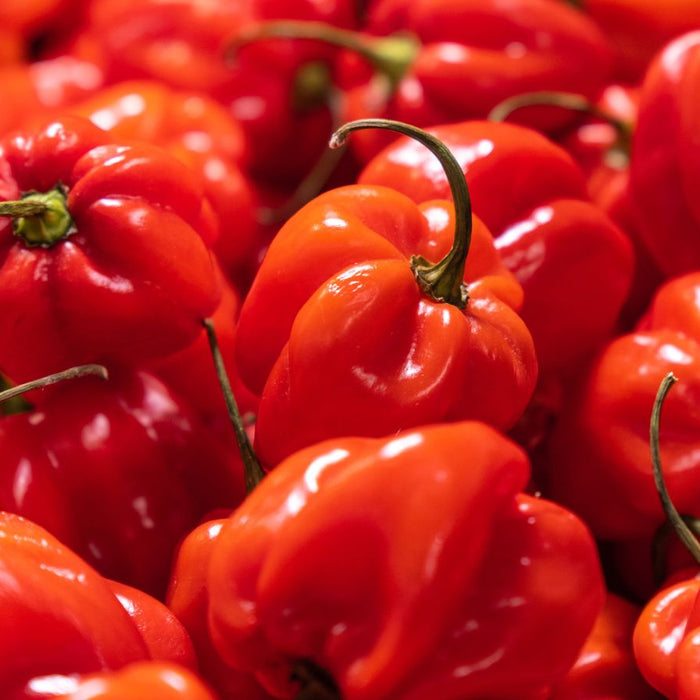 Bright red habanero peppers piled together in a close-up shot.