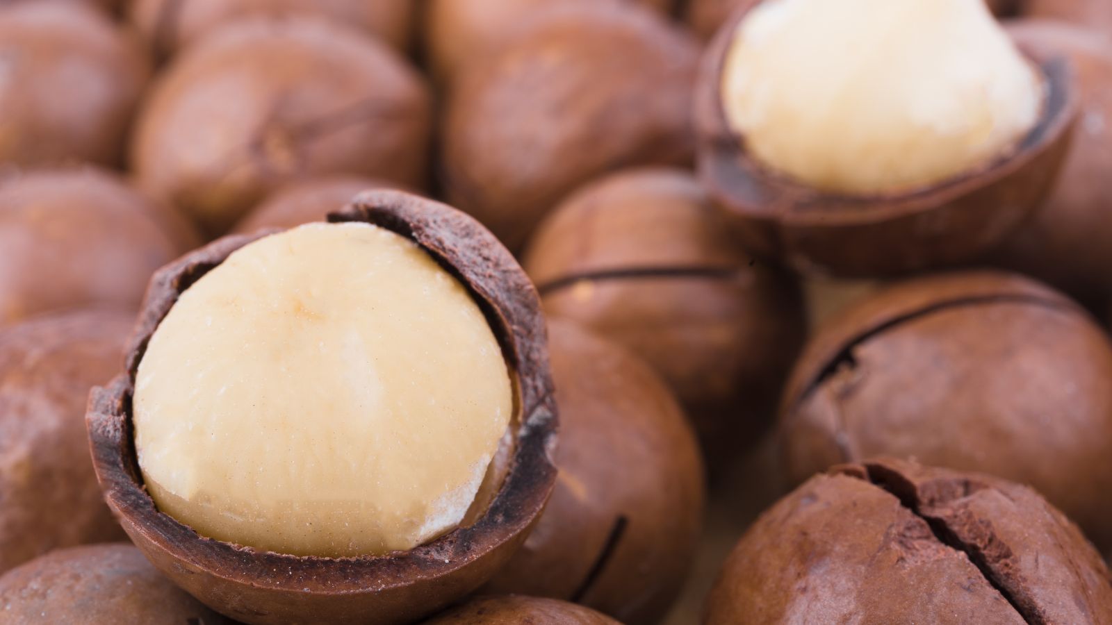 Close-up of macadamia nuts with shell cracked open