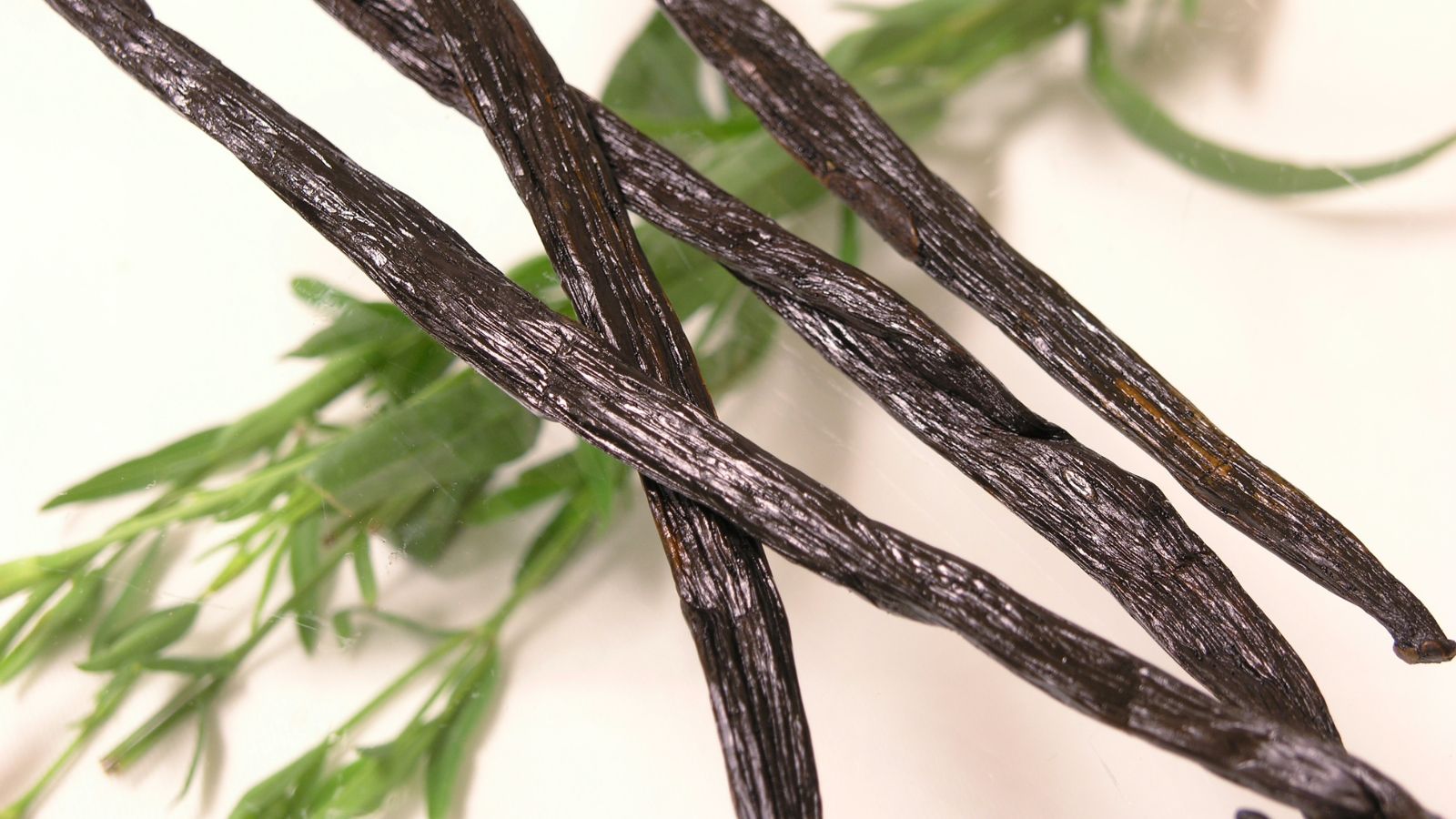 Three dark vanilla bean pods on white surface with green leaves.