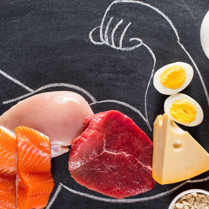 High-protein foods including meat, eggs, nuts, and dairy