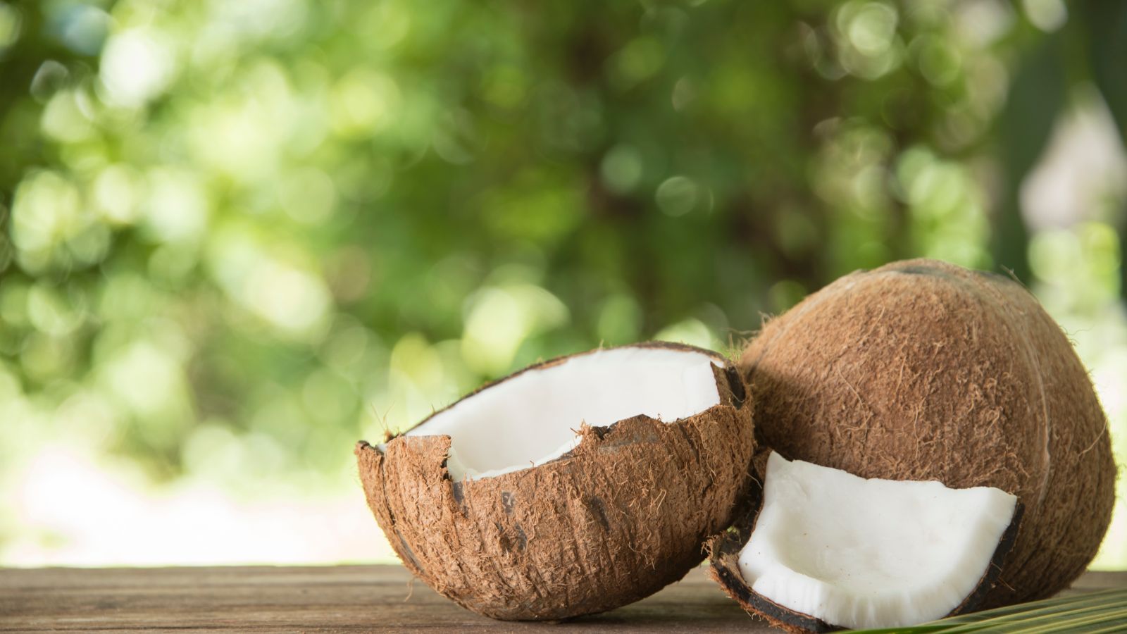 Fresh brown coconuts cracked open on wooden table outdoors