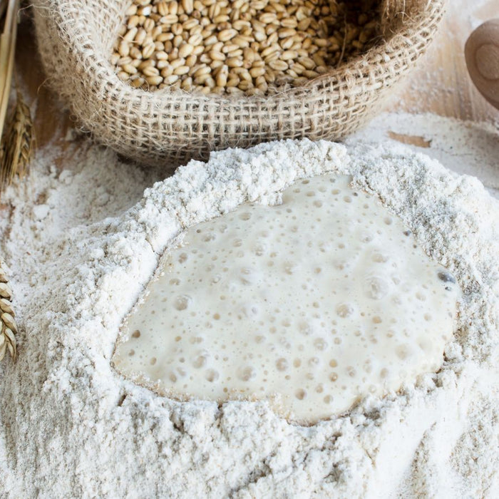 Flour with sourdough starter beside wheat stalks and rolling pin.