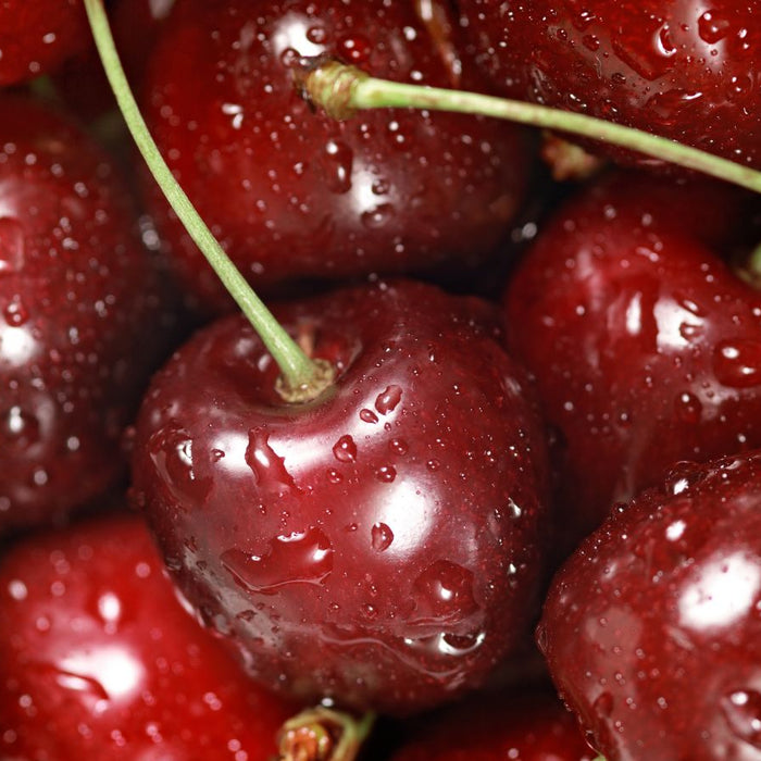 Fresh red cherries with water droplets, close-up macro view