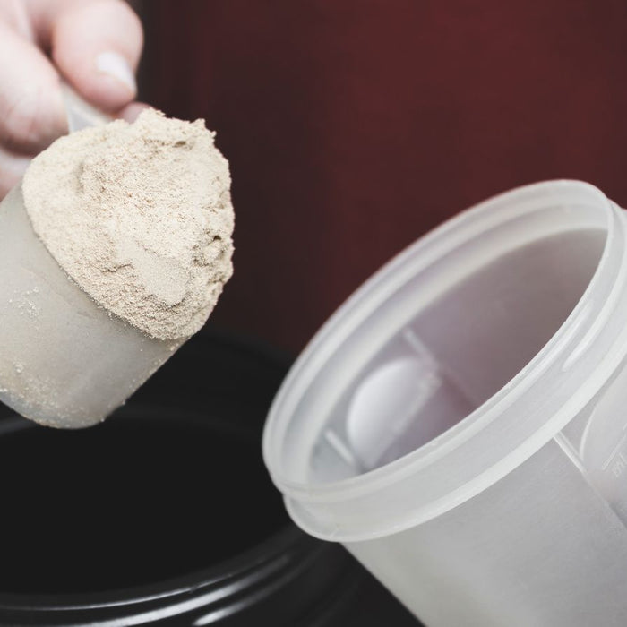 Person scooping protein powder into a shaker cup.