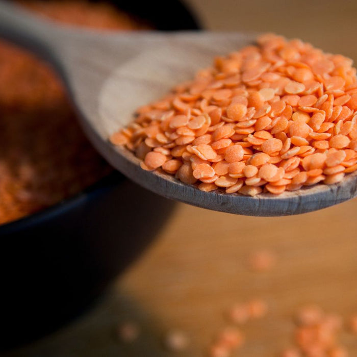 Close-up of red lentils on wooden spoon above black bowl