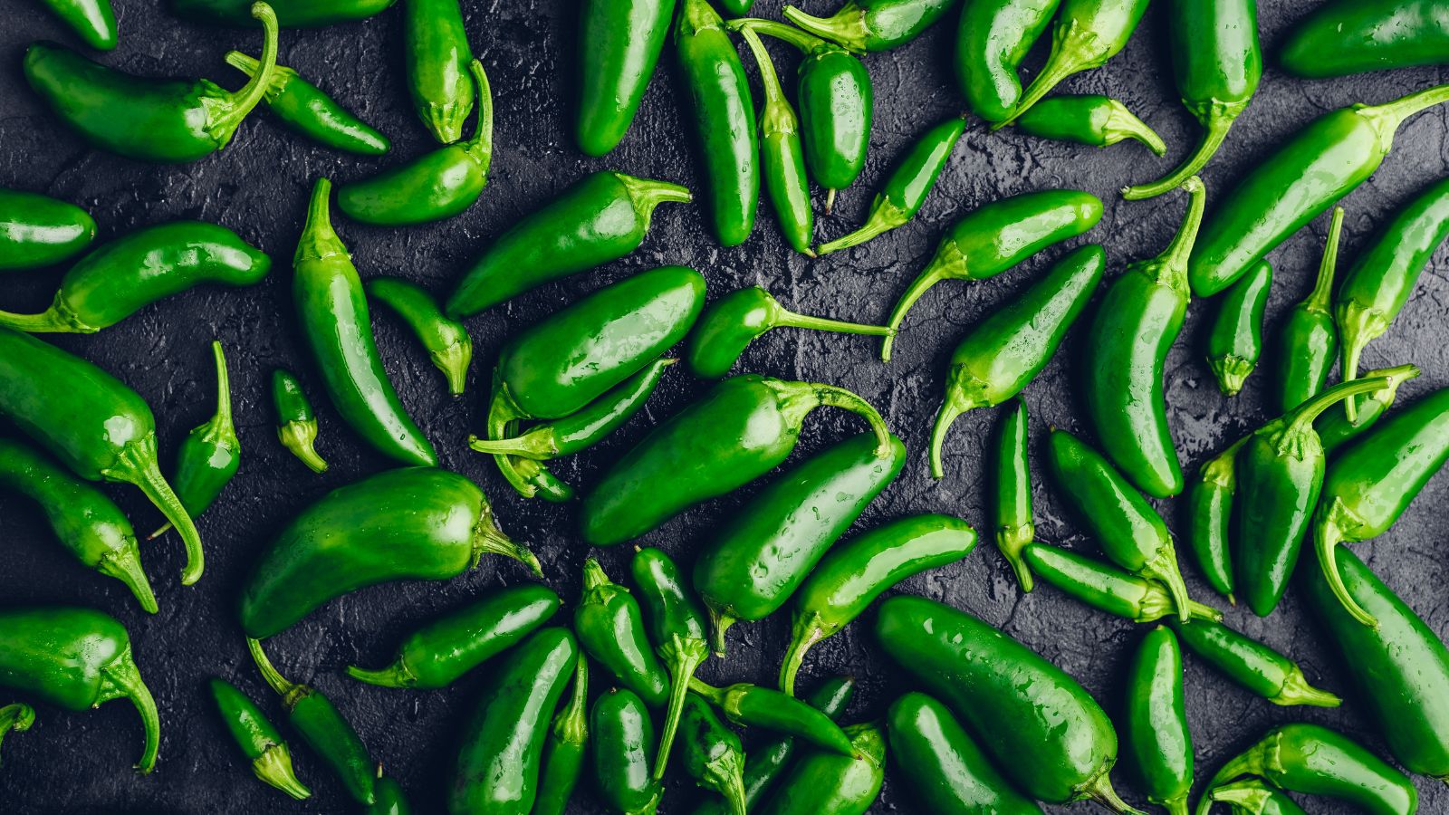 Pile of fresh jalapeno peppers spread on dark textured surface