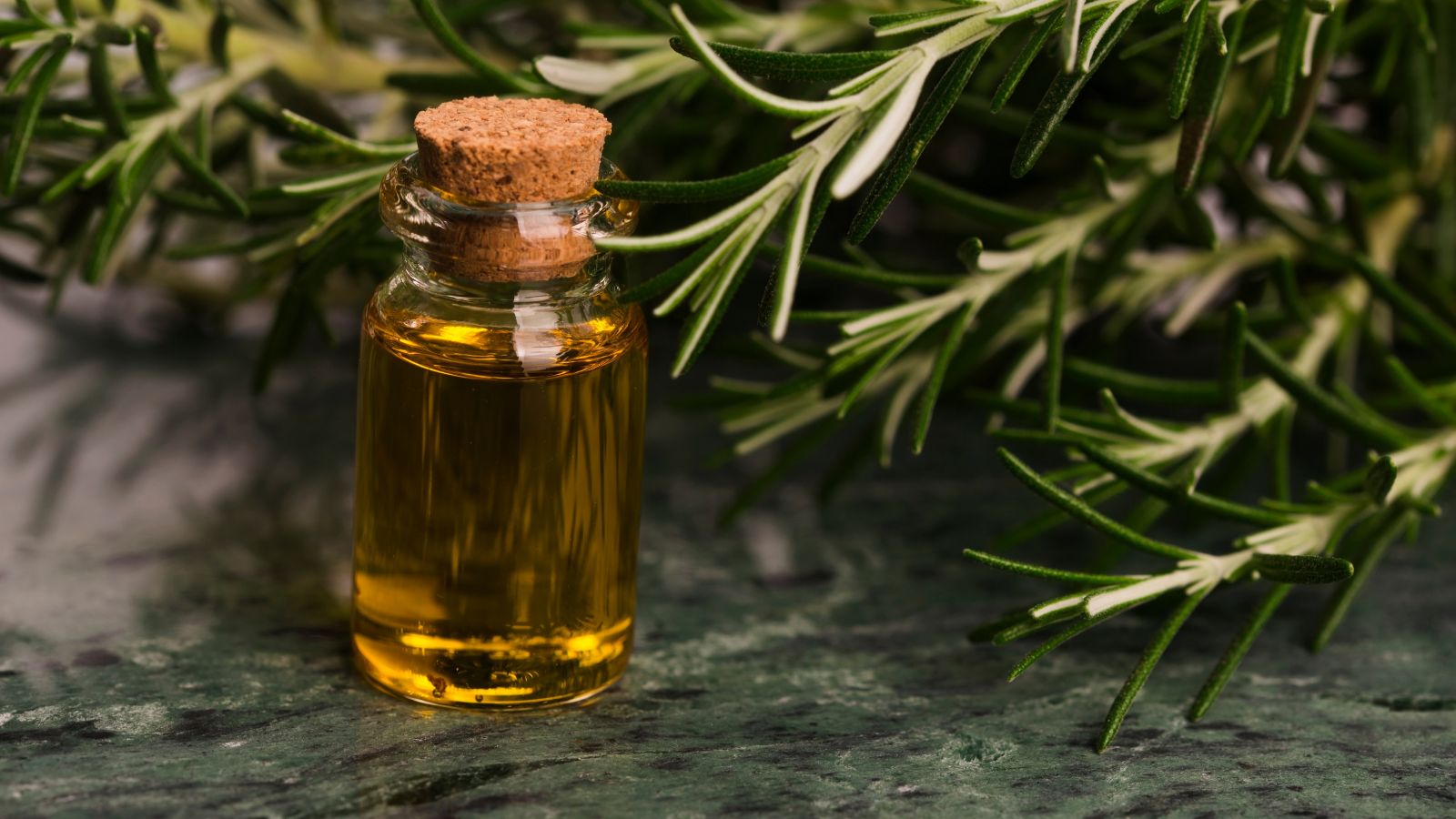 Small glass bottle of rosemary essential oil with fresh sprigs.