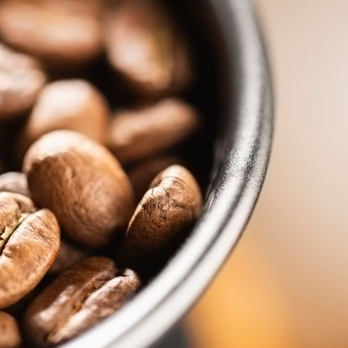 Macro view of roasted coffee beans inside a burr grinder.