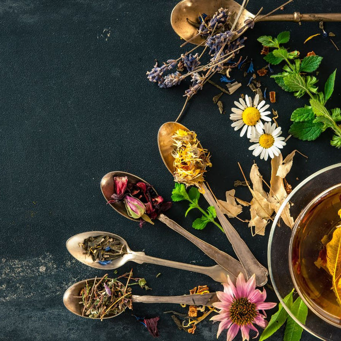 Herbal tea with dried flowers and fresh herbs on a dark background.