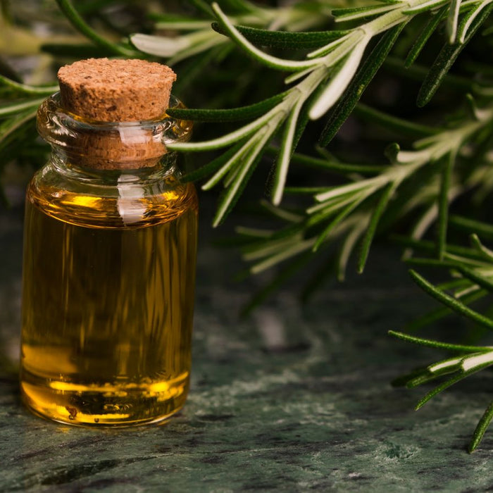 Small glass bottle of rosemary essential oil with fresh sprigs.