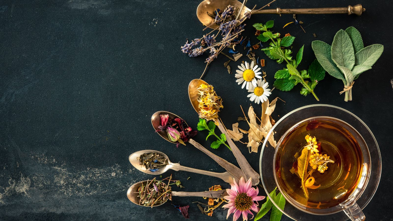 Herbal tea with dried flowers and fresh herbs on a dark background.