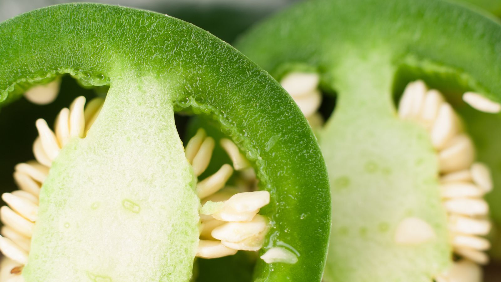 Close-up of fresh green jalapeño pepper slices with seeds
