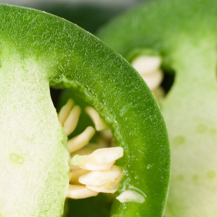 Close-up of fresh green jalapeño pepper slices with seeds