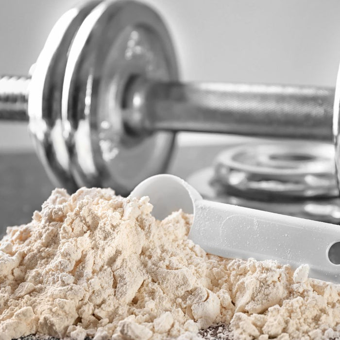 Protein powder with a white scoop placed near a metallic dumbbell