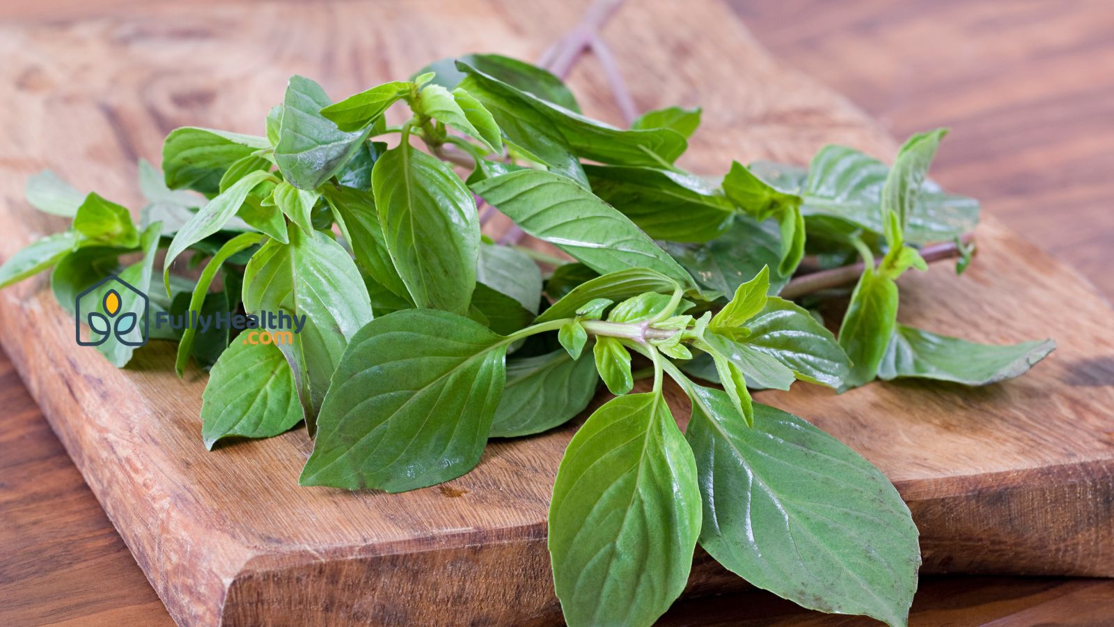 Fresh basil leaves on wooden cutting board for cooking