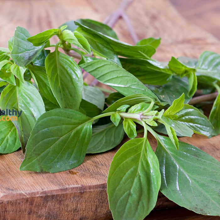 Fresh basil leaves on wooden cutting board for cooking