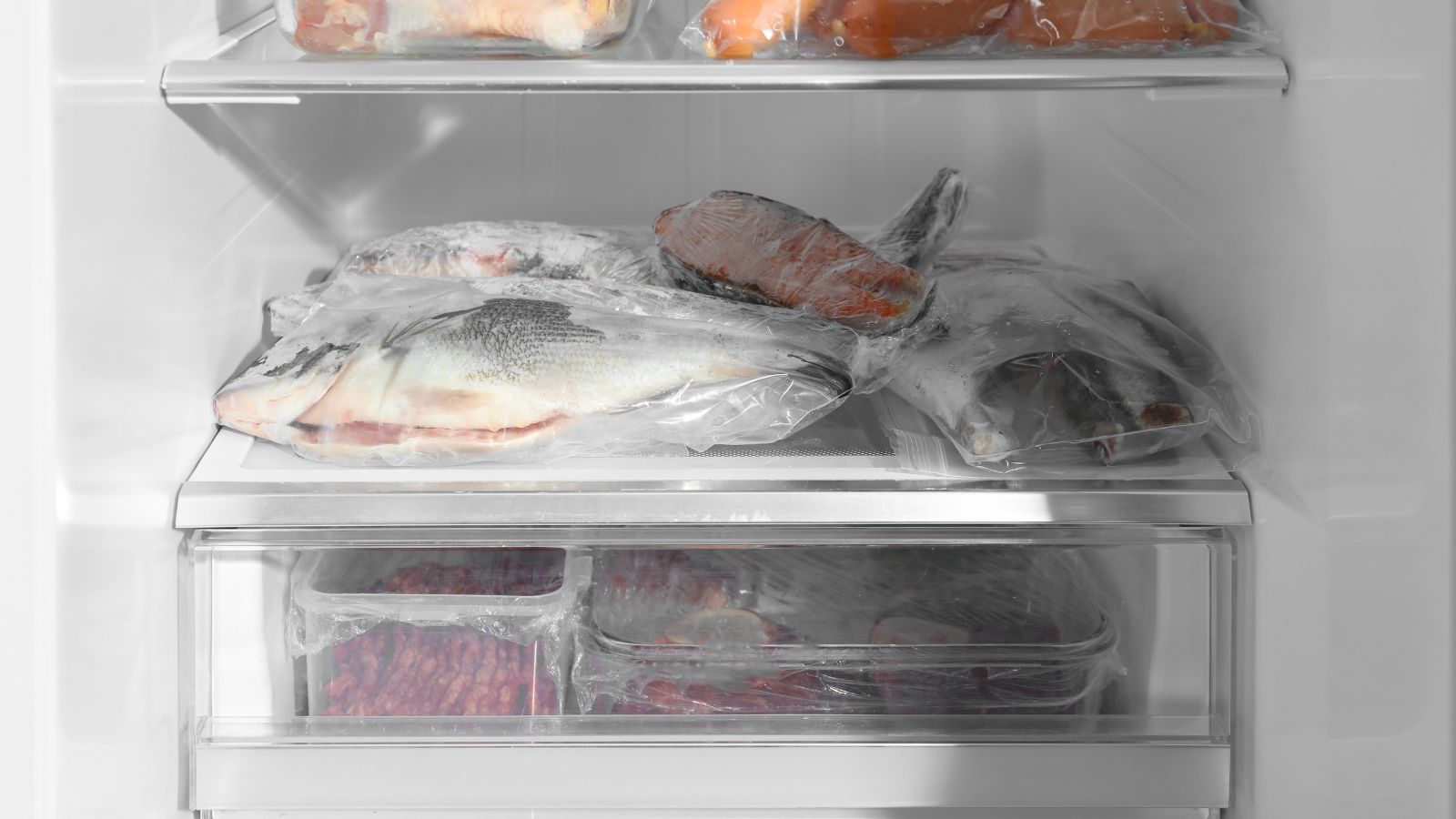 Frozen mackerel fish stored neatly inside refrigerator freezer