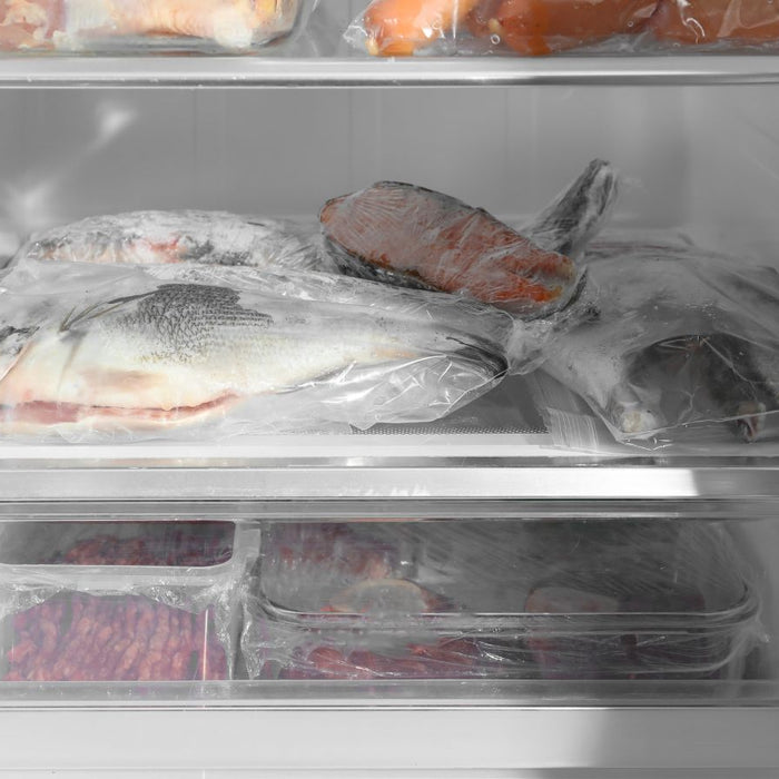 Frozen mackerel fish stored neatly inside refrigerator freezer