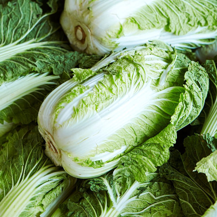 Freshly harvested napa cabbages stacked and displayed close up view