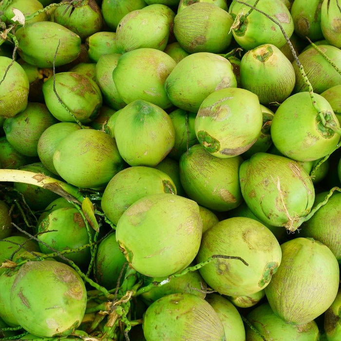 Pile of fresh green coconuts stacked together in outdoor market