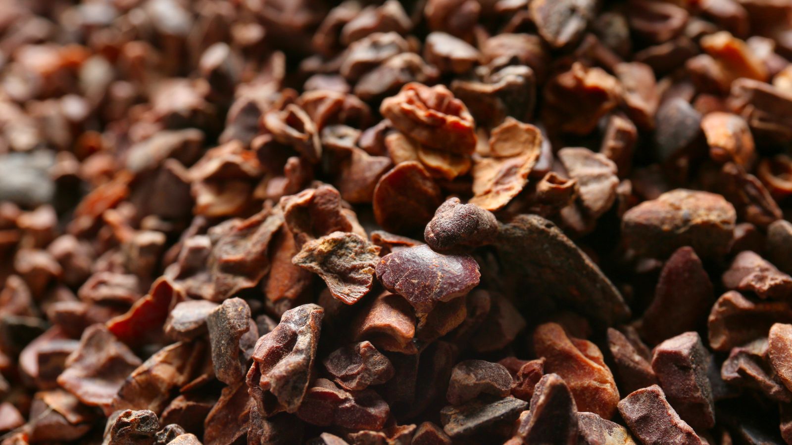 Close-up of raw cacao nibs scattered in a pile.