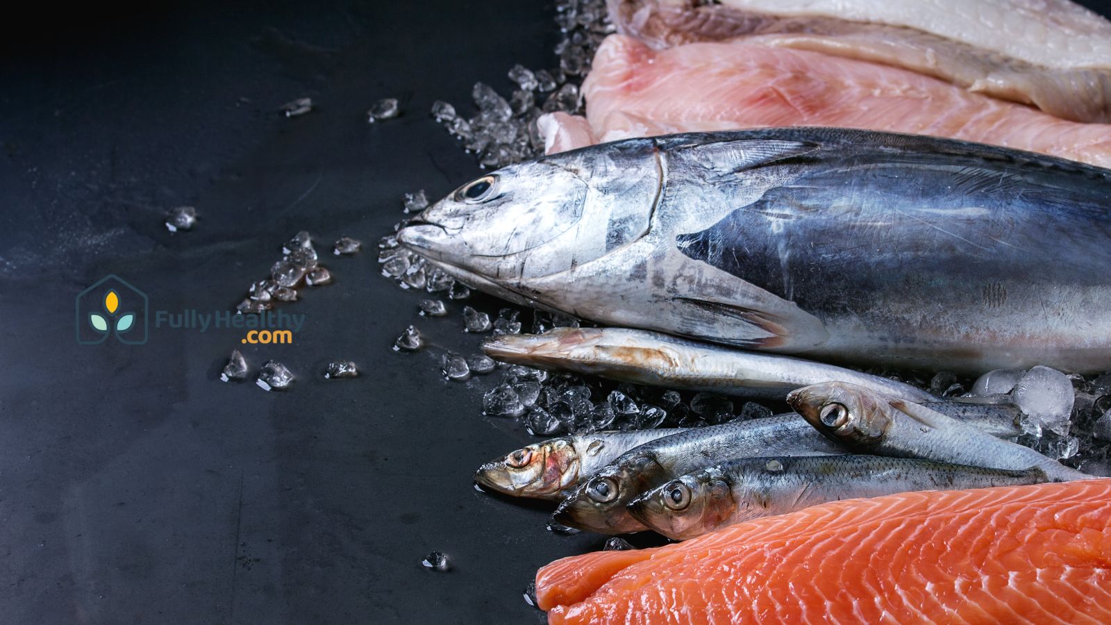 Assorted fresh fish tuna fillets and seafood on ice for healthy diet