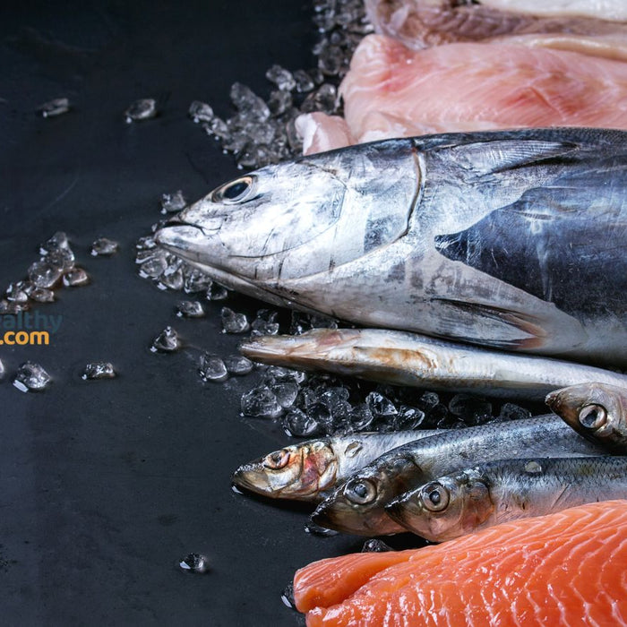 Assorted fresh fish tuna fillets and seafood on ice for healthy diet