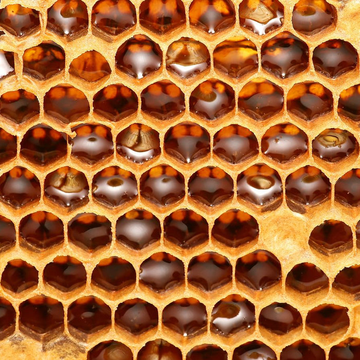 Honeycomb cells filled with golden honey in a close detailed macro