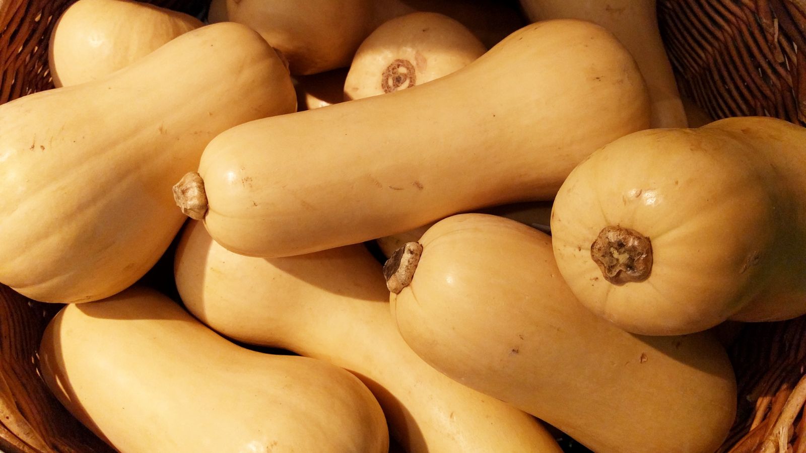 Pile of whole butternut squash in basket at market