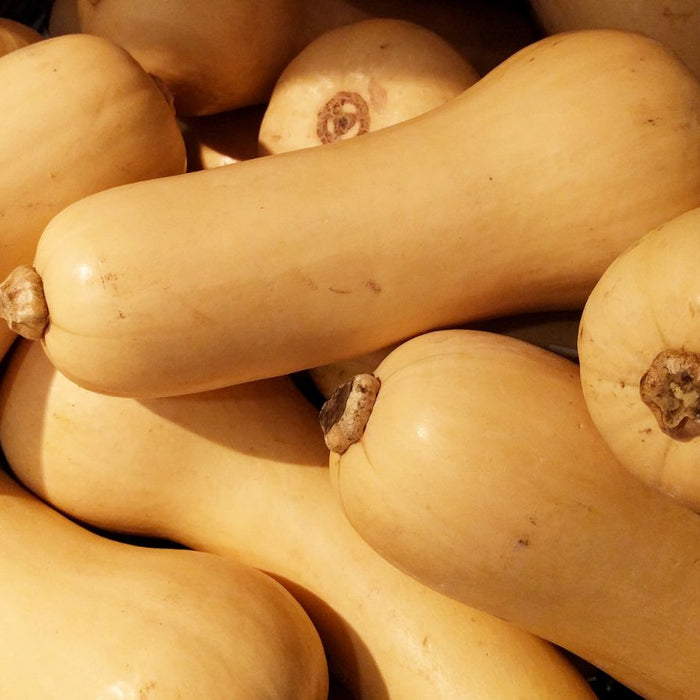 Pile of whole butternut squash in basket at market