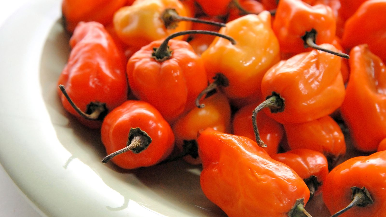 Orange and yellow habanero peppers arranged on a white plate.